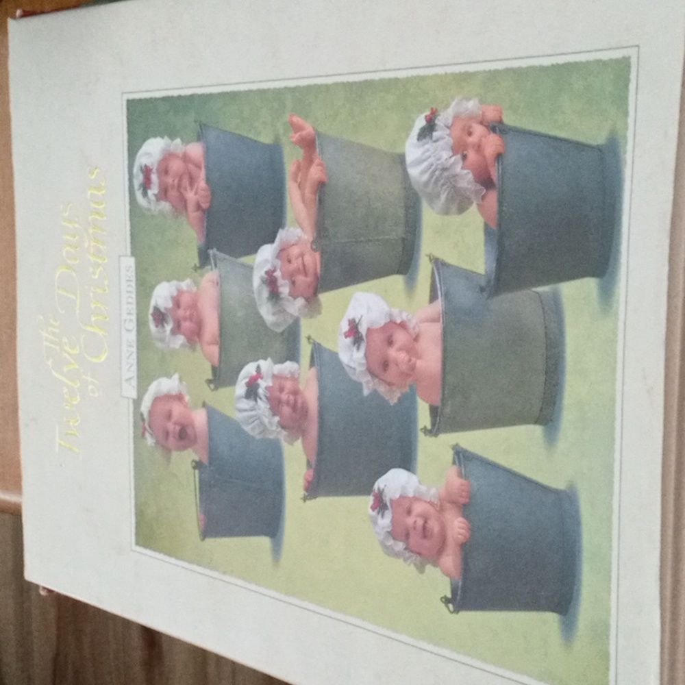 The 12 Days Of Christmas Illustrated By Anne Geddes